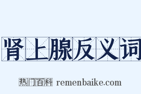 肾上腺反义词是什么意思的图片
